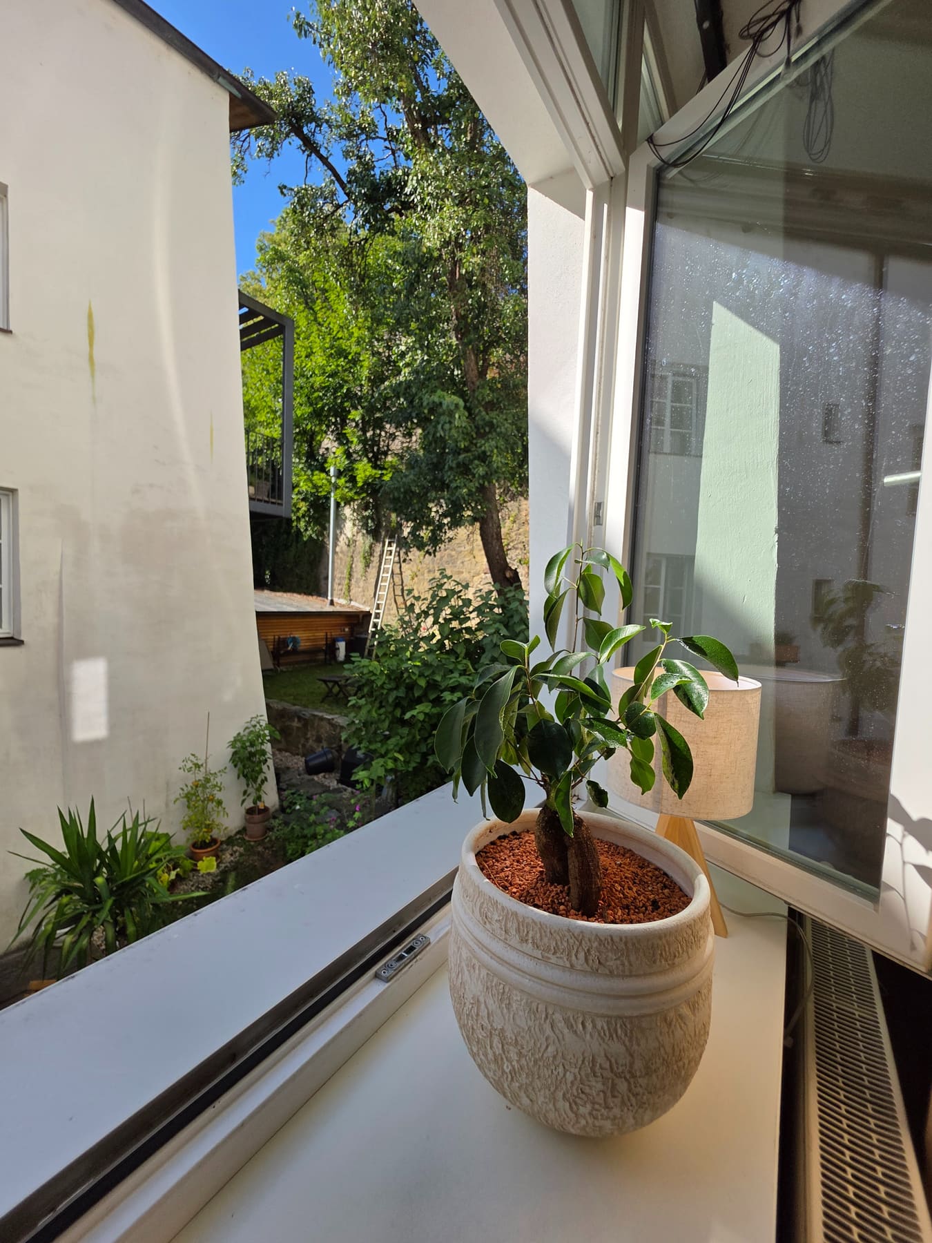 The green courtyard every window faces