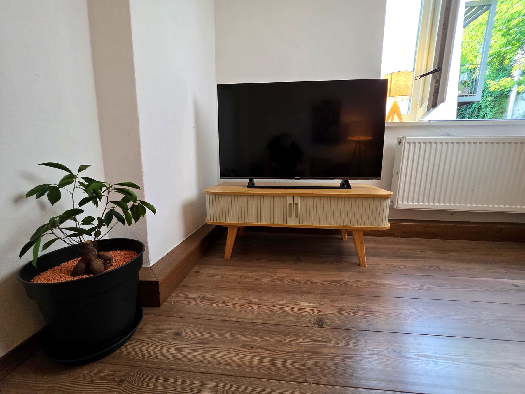 TV corner in the living room