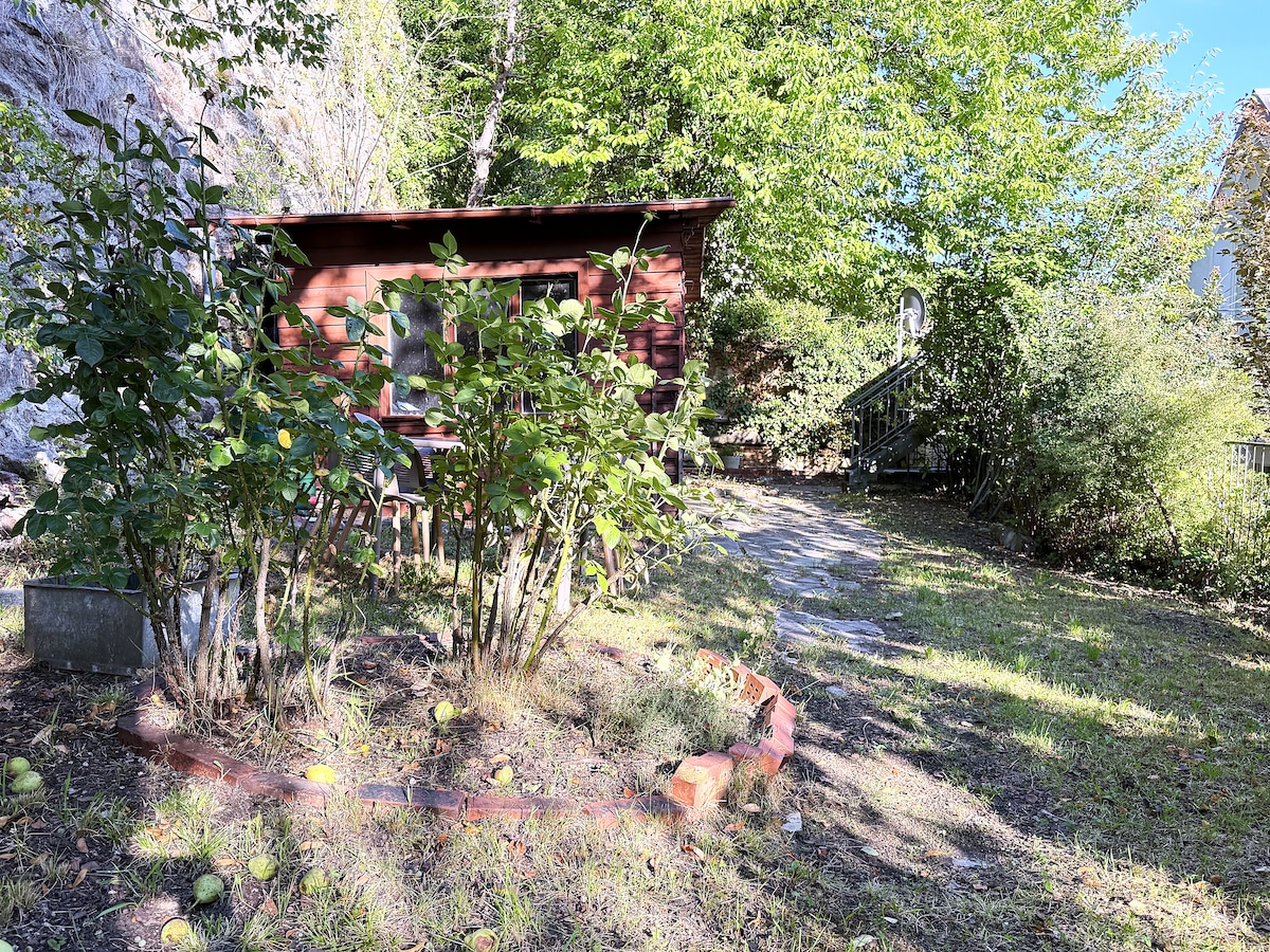 The wooden shed at the end of the garden and a bed of shrubs edged with bricks